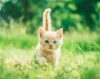 snapshot-gallery-photo-three.webp