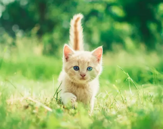 snapshot-gallery-photo-three.webp